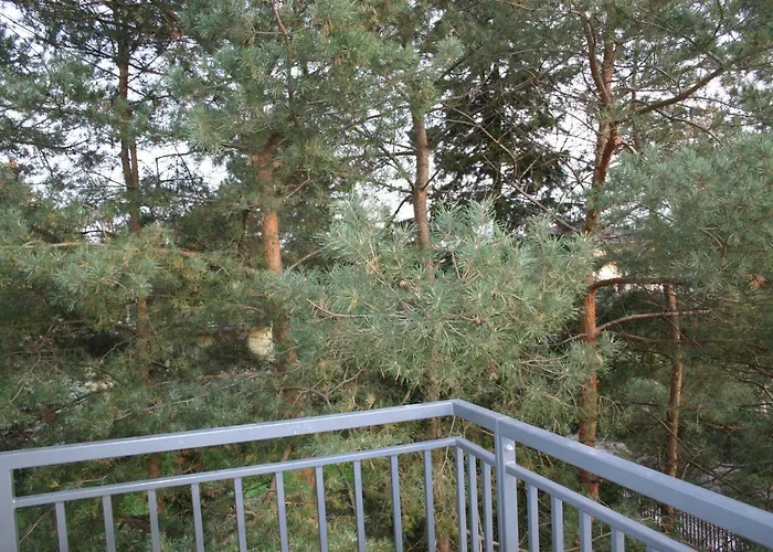 Noclegi Piastow